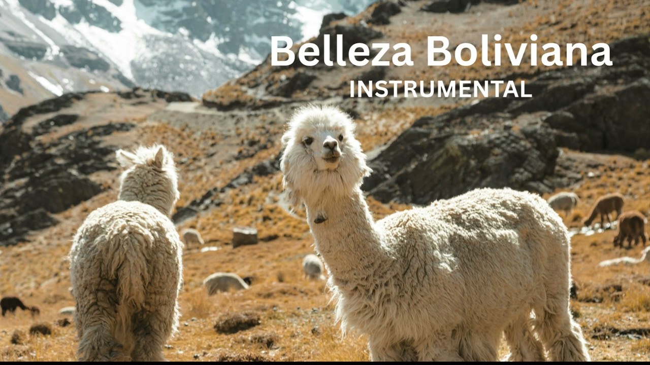 Belleza Boliviana - Instrumental