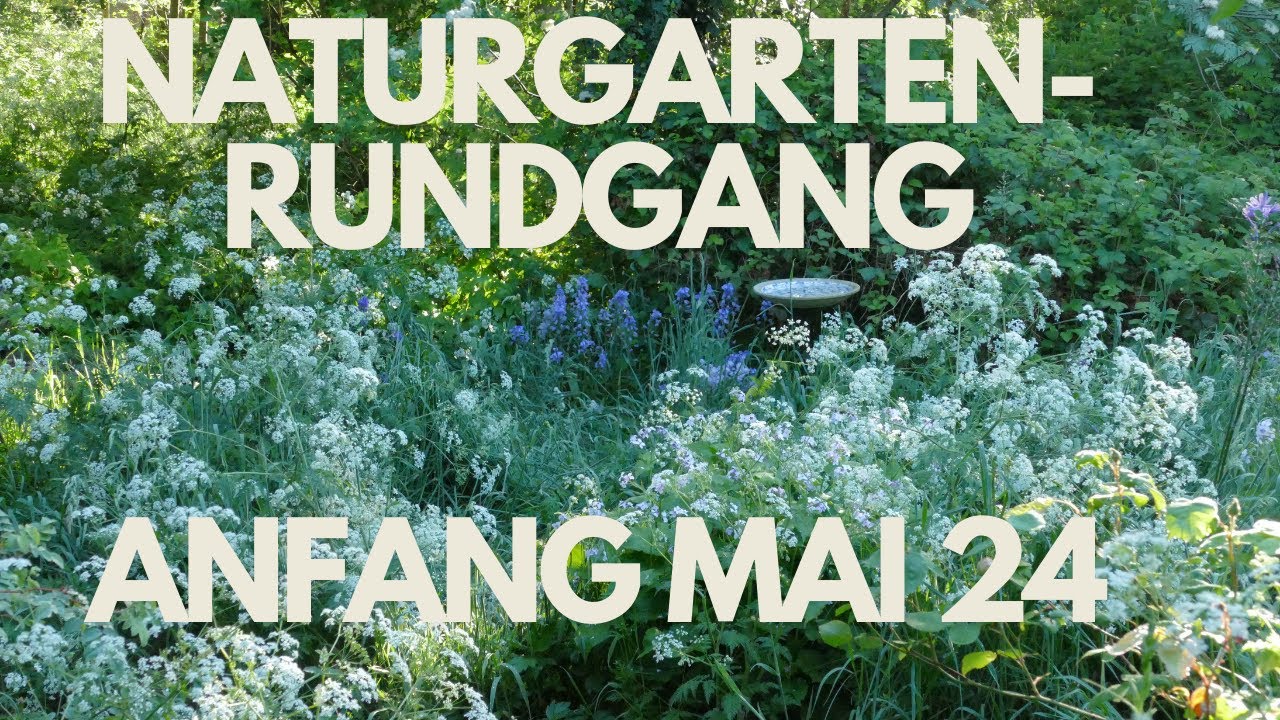 Naturgarten-Rundgang Anfang Mai 24