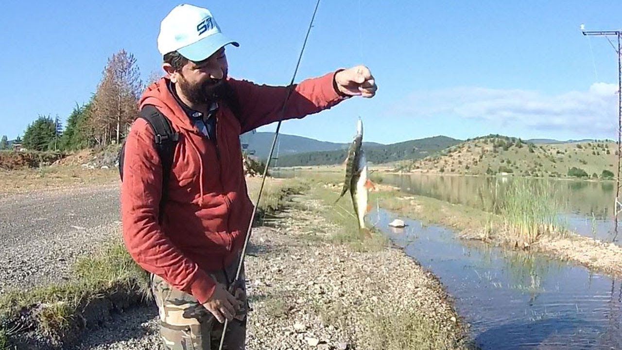 balık avı 2021  Perch Avı  Savage Gear SG4 Rods