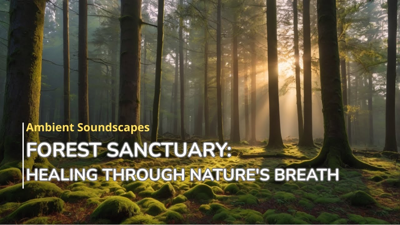 Forest Sanctuary Ambience | Healing Through Nature's Breath | Calm Anxiety & Mental Fatigue
