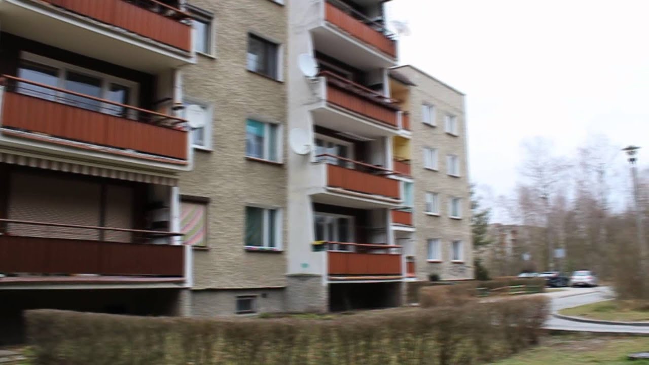 Sowa - Dzielnia