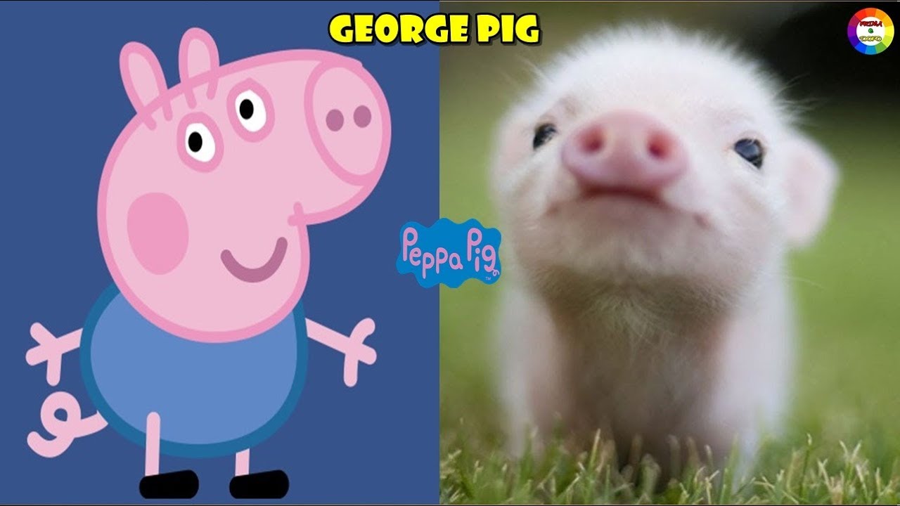 Peppa Pig Nella Vita Reale 2019