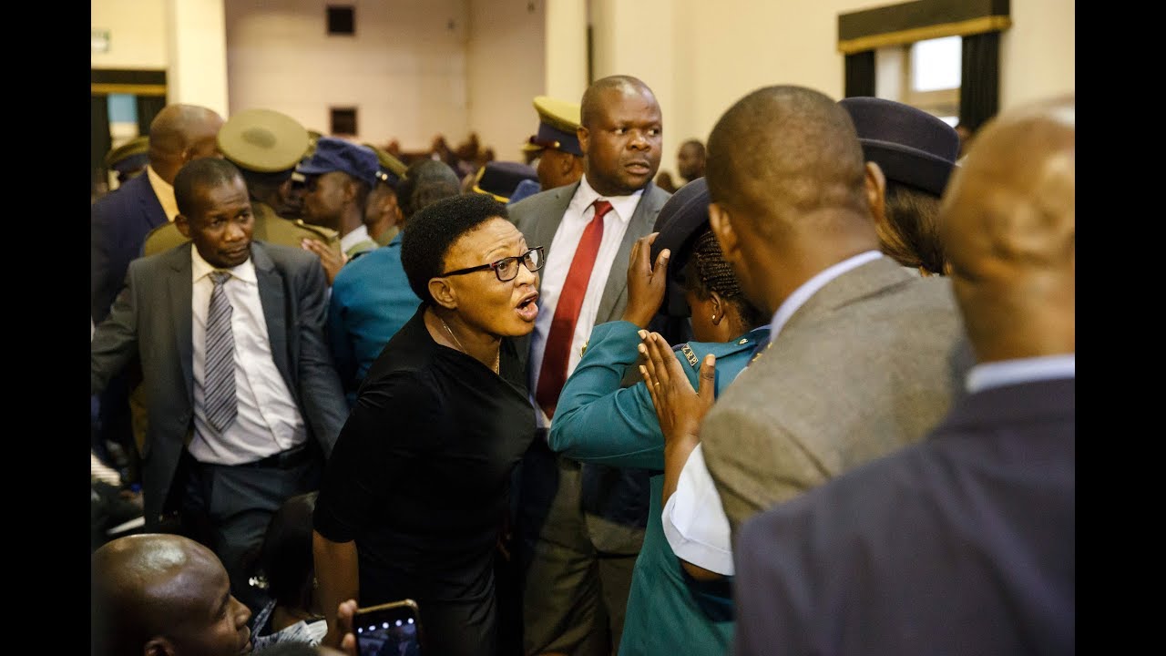 Zimbabwe MPs removed from parliament after refusing to stand when president entered - video