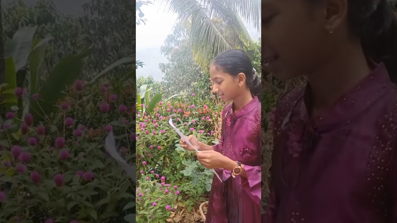 കൊച്ചേട്ടൻ്റെ കത്ത് 12 Neena S Maria സെന്റ് ജോസഫ്സ്  യു.പി സ്കൂൾ കൂവപ്പള്ളി  കോട്ടയം 