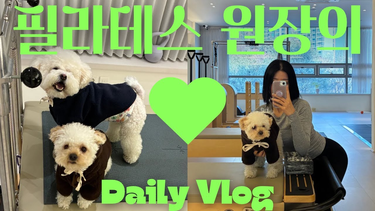 필라테스 원장 VLOG | 대충 살지 않은 주간 | GV70세차 | 서울나들이 | 헬스장 루틴 | 필라테스 시퀀스