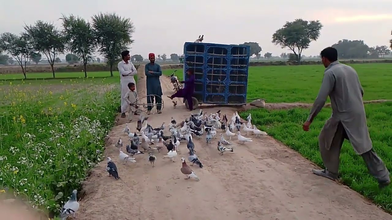 Pigen training new year match 🥰🤩