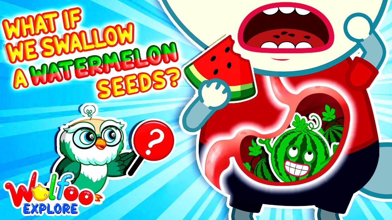 What Happens If You Swallow a Watermelon Seed? 🍉😱 | Funny Facts for Kids