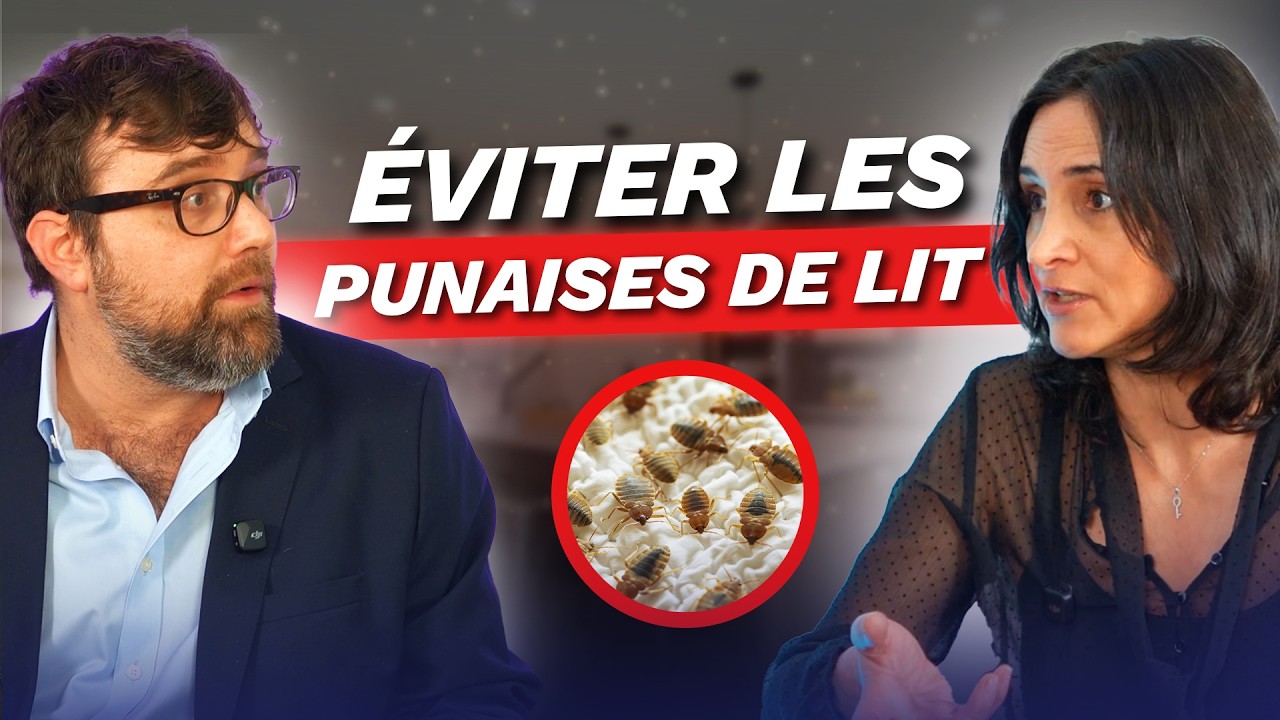 Punaises de lit : Comment les éviter chez soi ? (Maison, appartement)