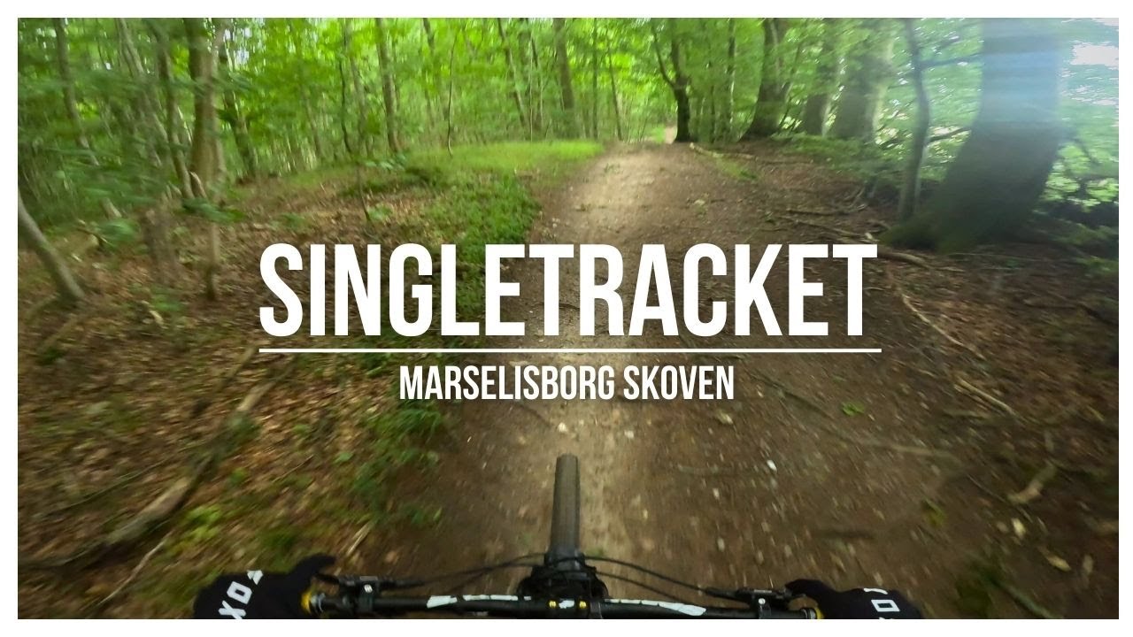 Det hurtigste MTB spor i Marselisborgskoven ved Aarhus! | MTB Danmark [4K]