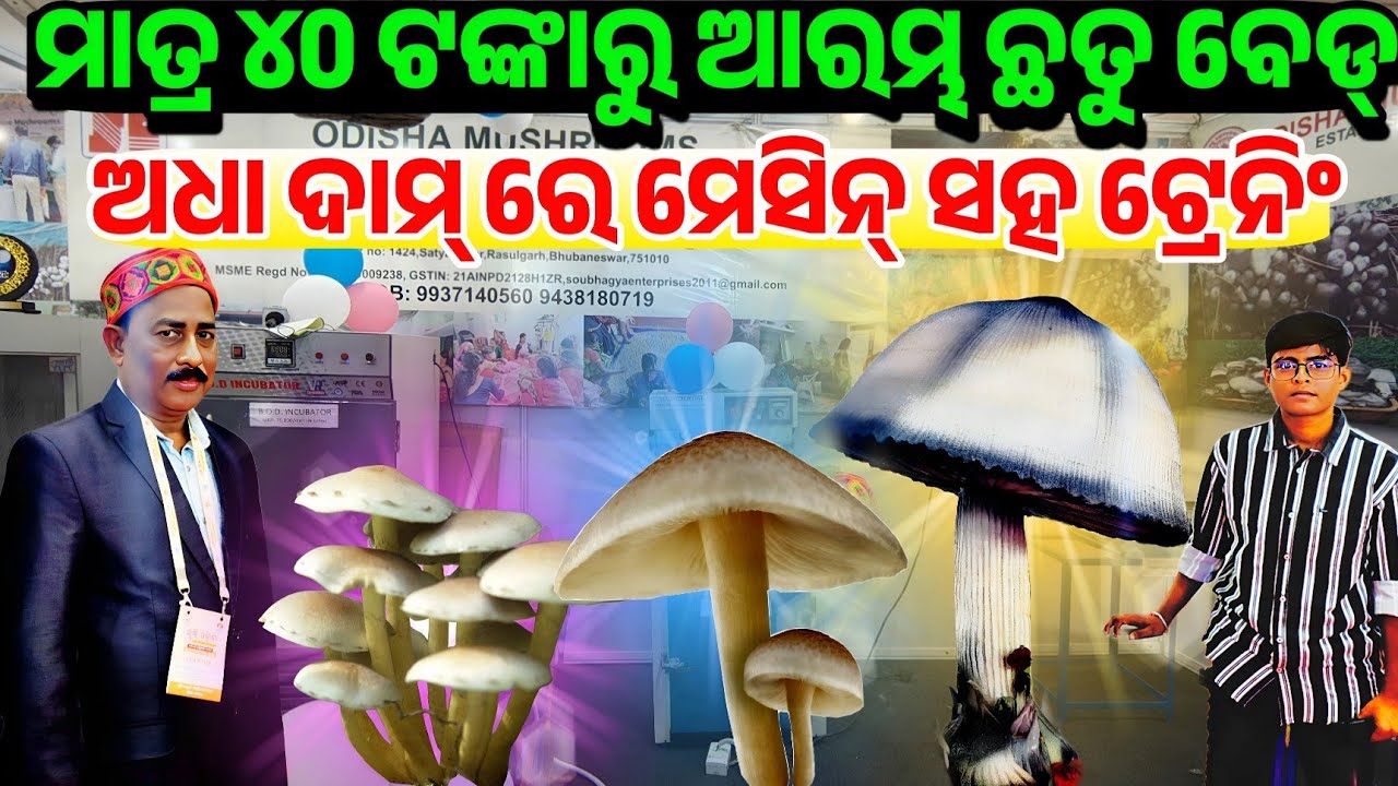 Mushroom Farming Full training Mushroom Spawn Unit, Machinery Seed sale Odisha Soubhagya Enterprises