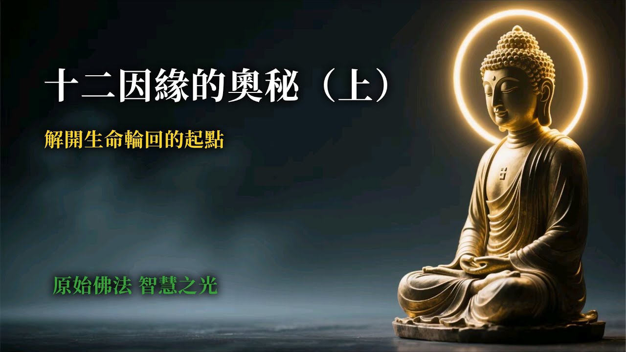 十二因緣的奥秘（上）：從無明到受，揭開生命輪迴的起點