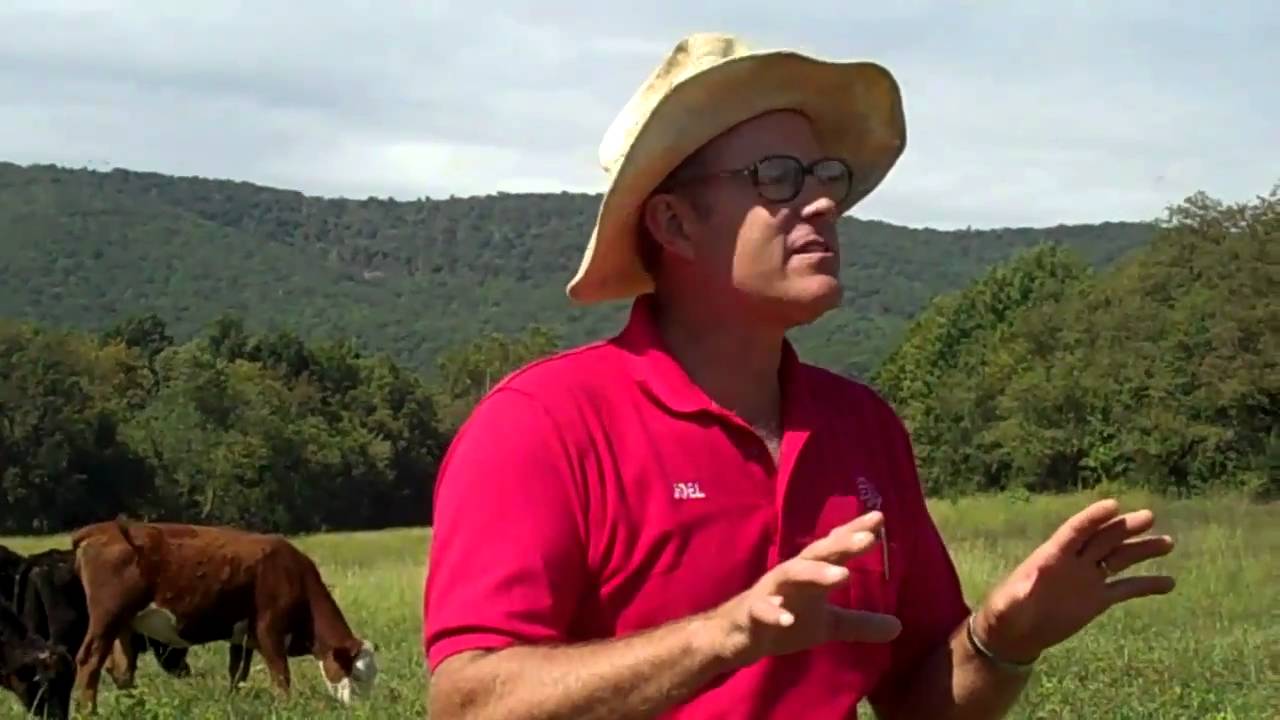 Polyface Farm - Salad Bar Beef - Part 1