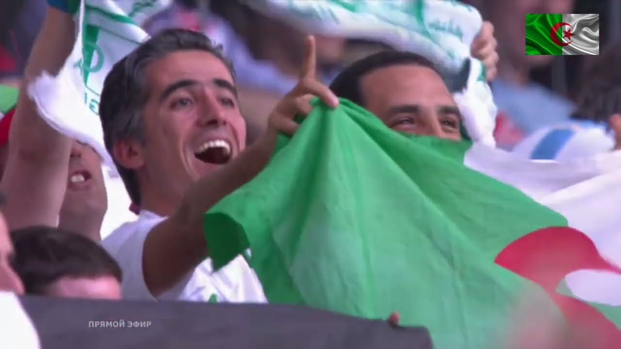 World Cup 2014  South Korea Algeria  0 2  Rafik Halliche