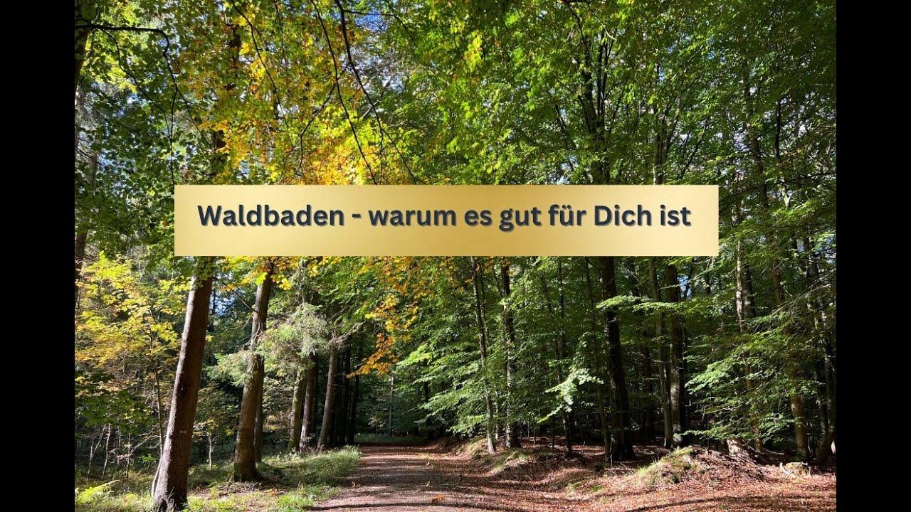 Waldbaden: warum der Wald so gesund ist | Shinrin Yoku | Eintauchen in die Natur