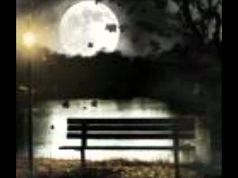 Summernight-The Cold