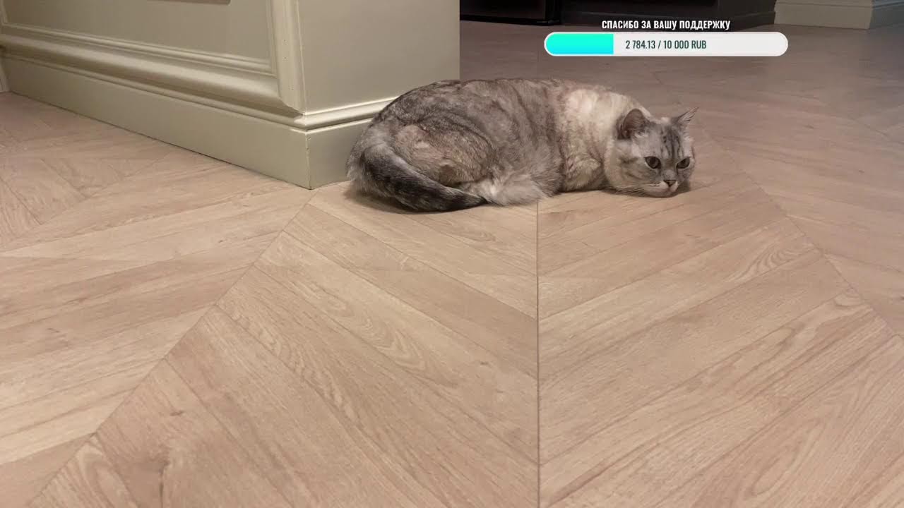 Добрый вечер