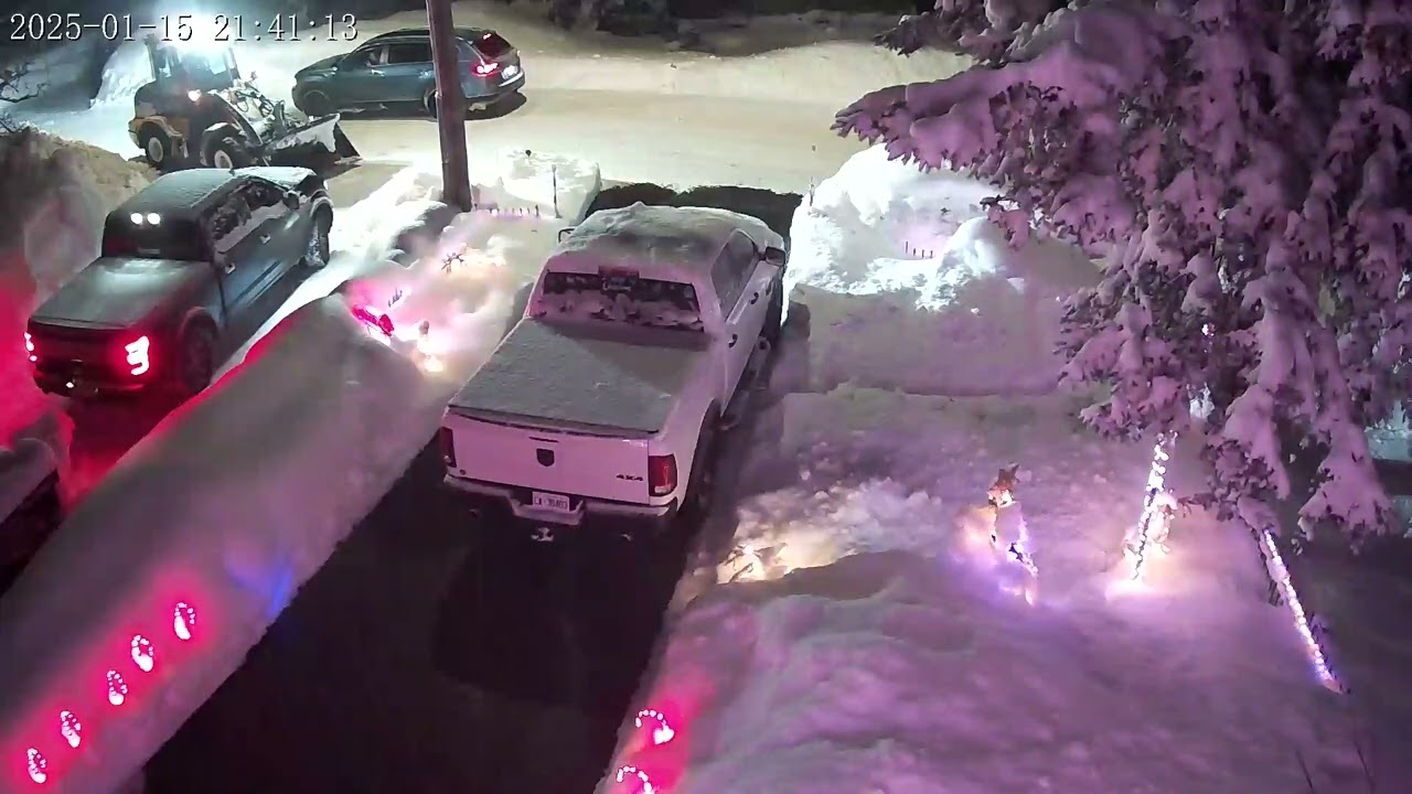 bad neighbors- great to have such lovely people wrecking our fence and decorations under the snow.