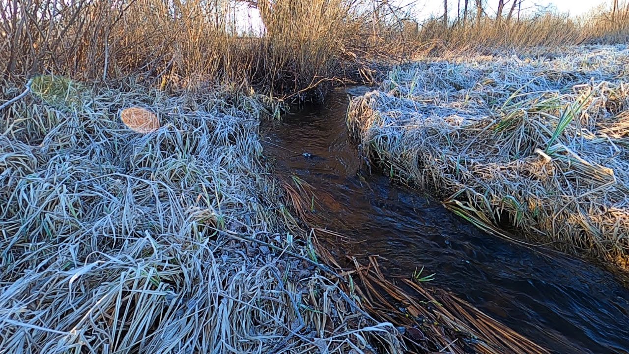 ПРИМАНКИ 2022/Силикон НА СУДАКА/Лучшая КИТАЙСКАЯ копия АВАРУНЫ