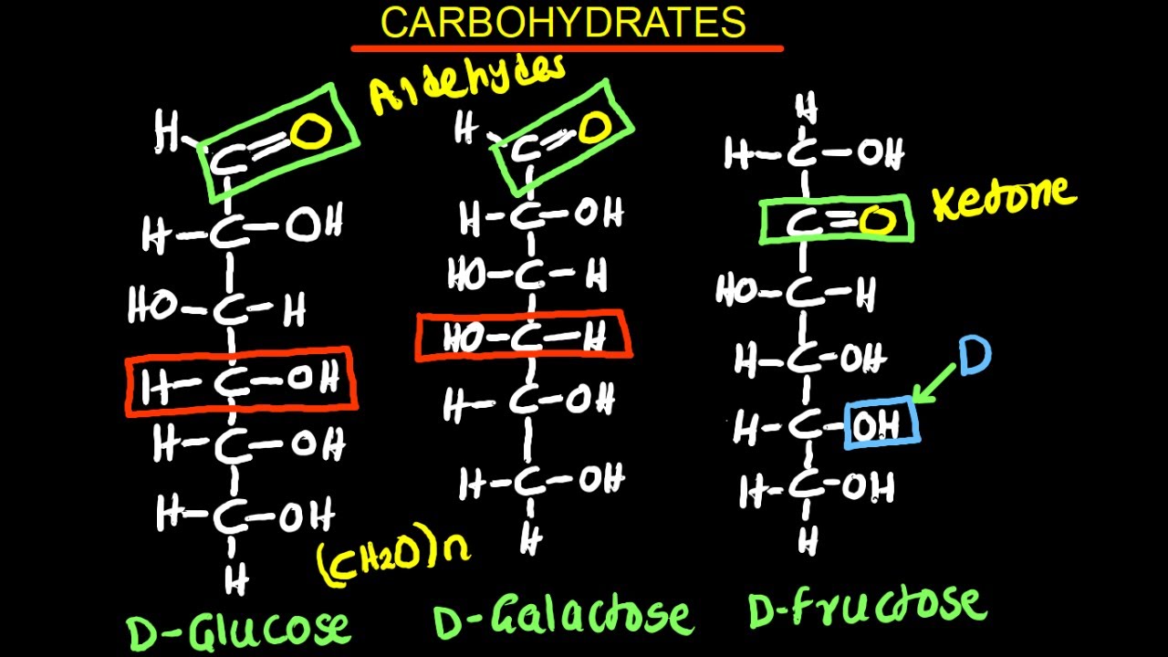 Carbohydrates | Monosaccharides | Biology