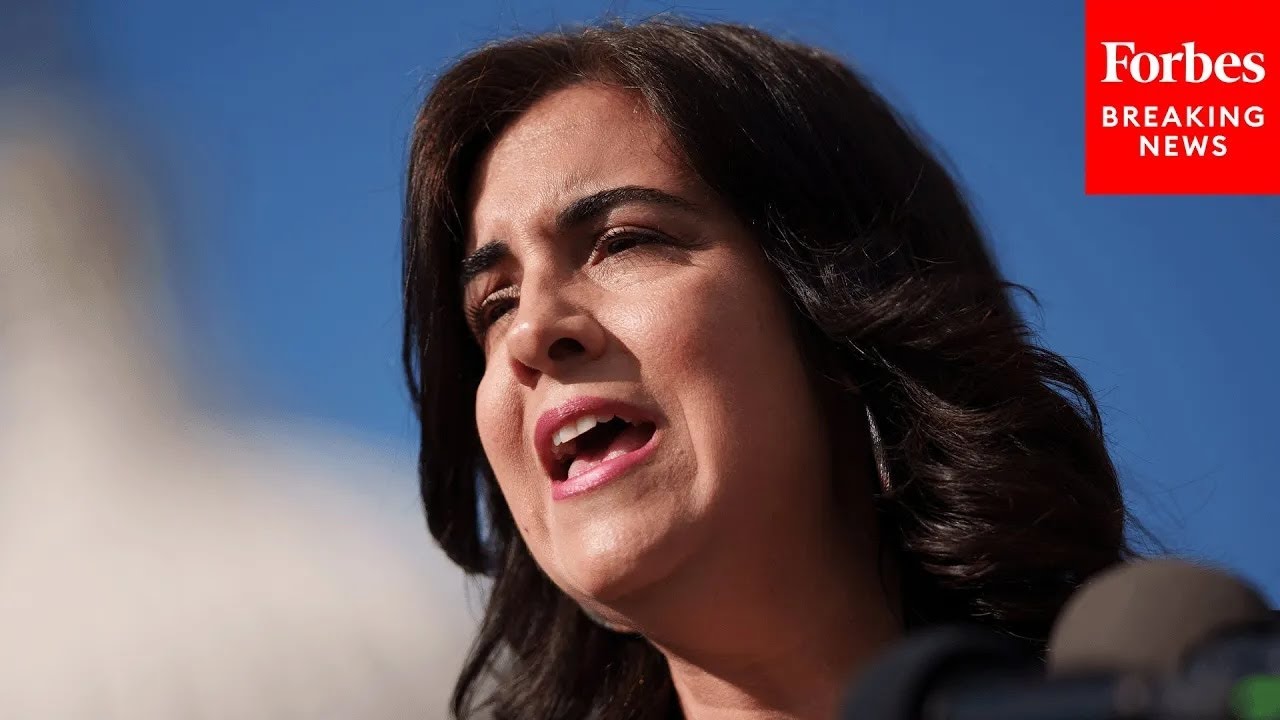 'Why Are The Democrats So Obsessed With Allowing Noncitizens To Vote?': Nicole Malliotakis