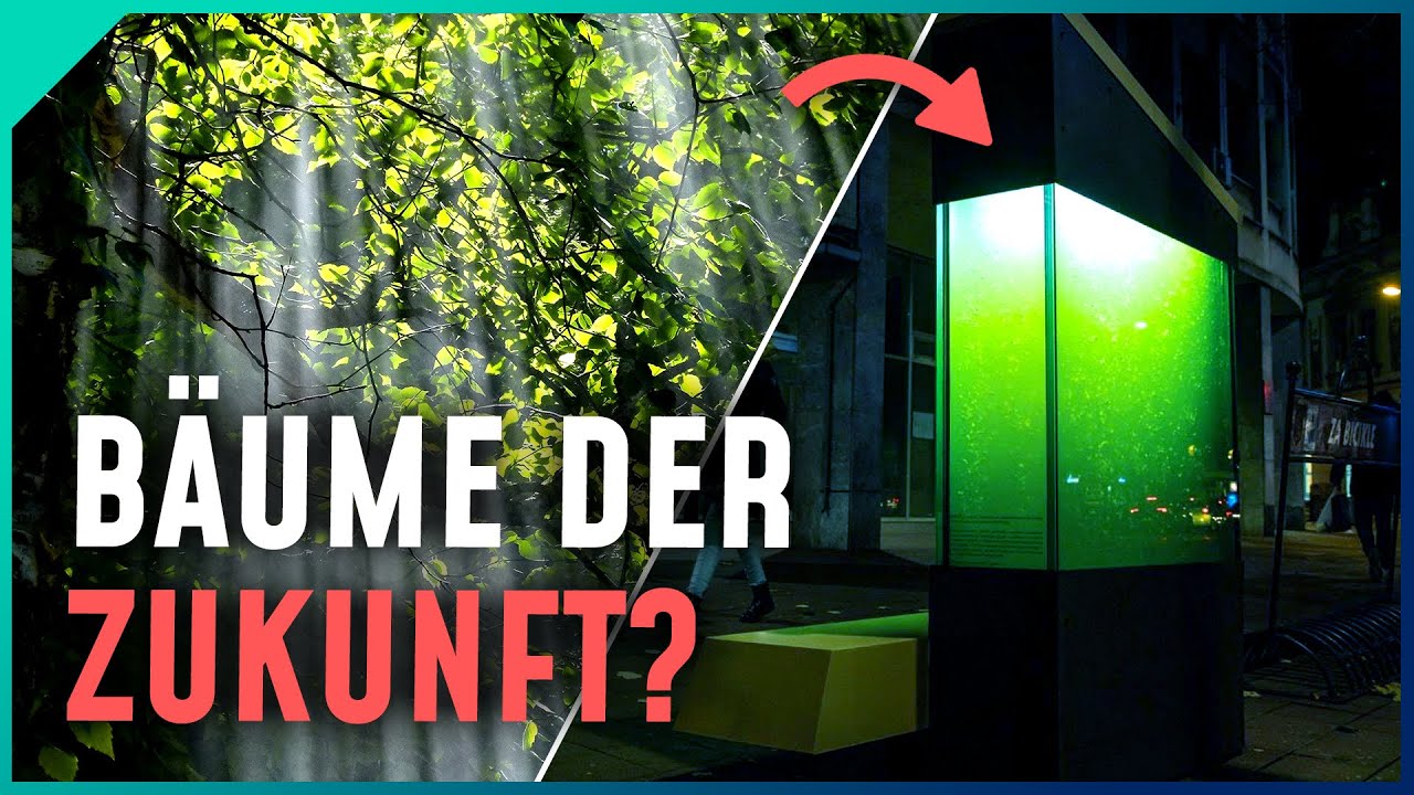 50x effizienter! Bioreaktor statt Bäume pflanzen?