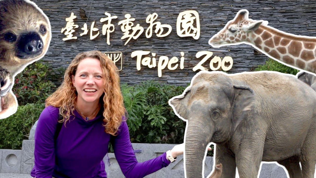 Is Taipei Zoo worth visiting? (+Raohe Street Food!)