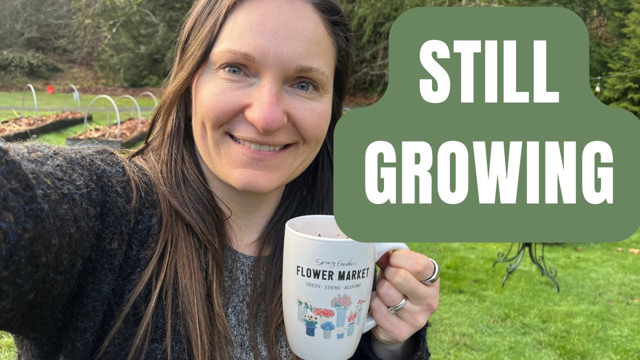 A January Walk on the Flower Farm (More Is Happening Than It Looks!)