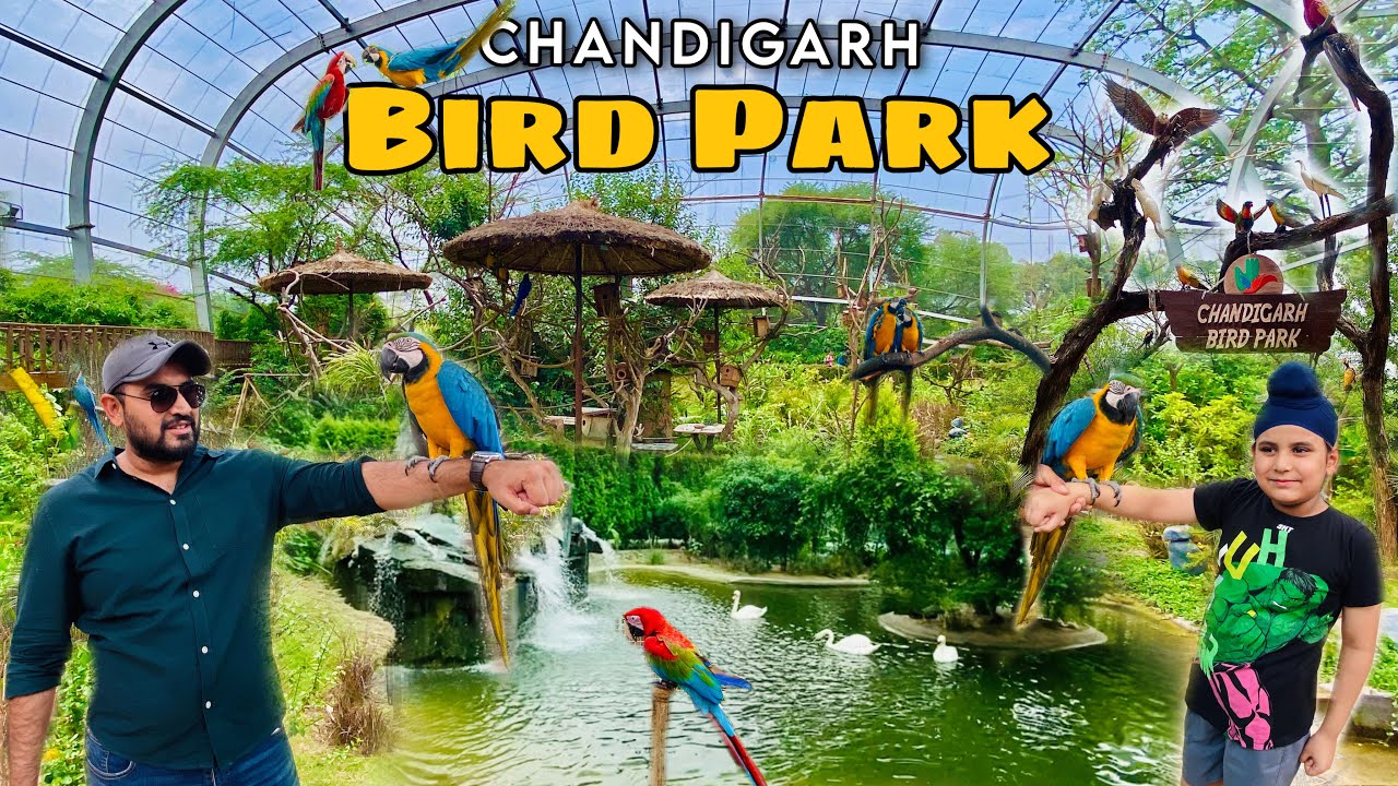 BIRD PARK CHANDIGARH | Must Visit Tourist Place in Chandigarh