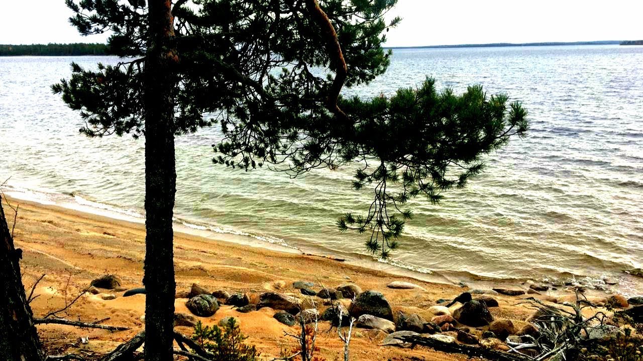 Троллинговая рыбалка. Отдых в октябре на Онеге. Большая волна и рыба. Trolling fishing
