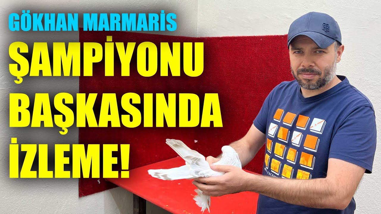 Şampiyon Yavrusu Verilmez! - KÜRENK KULÜBÜ
