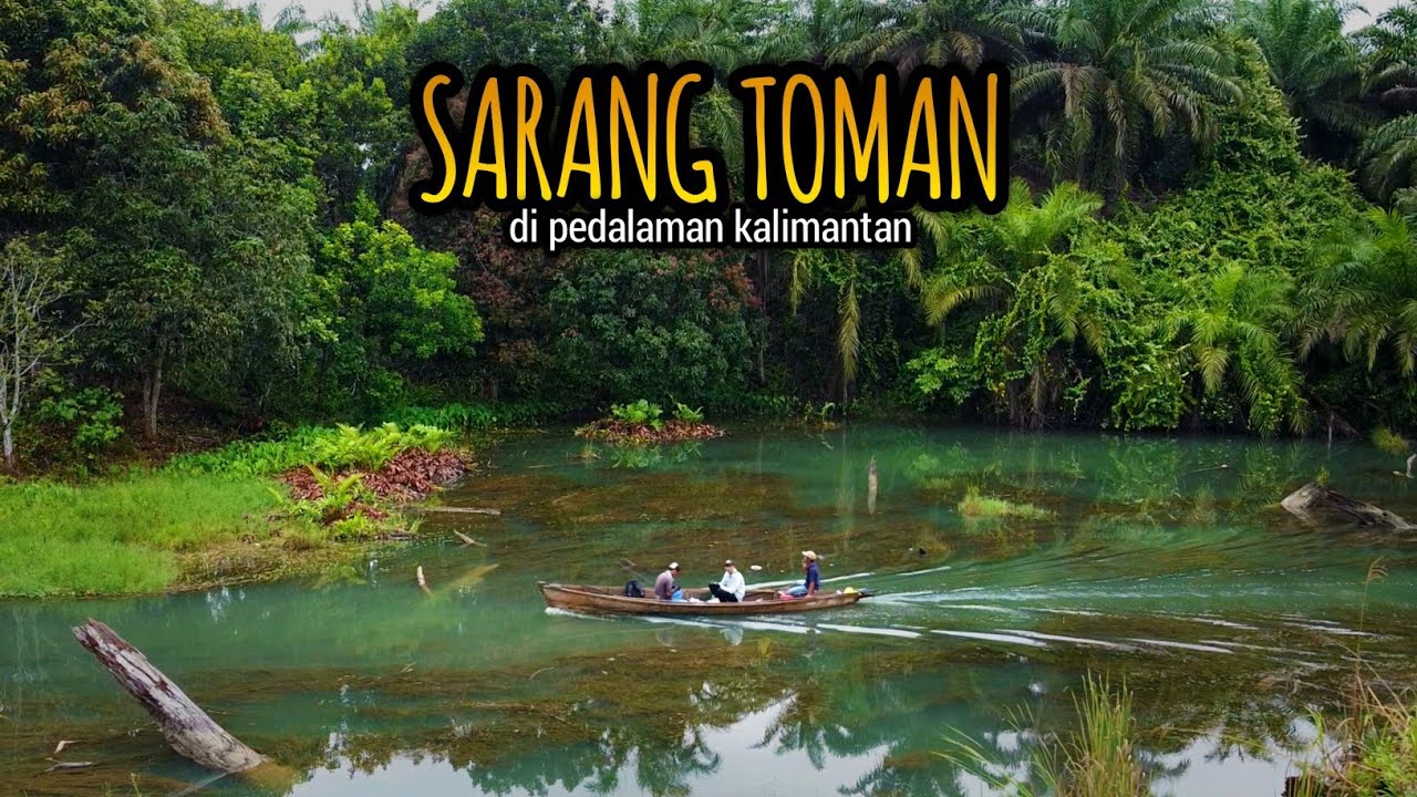SPOT SURGA‼️Berburu Ikan Toman di Kalimantan‼️Danau Tandarayan, Batu Kajang