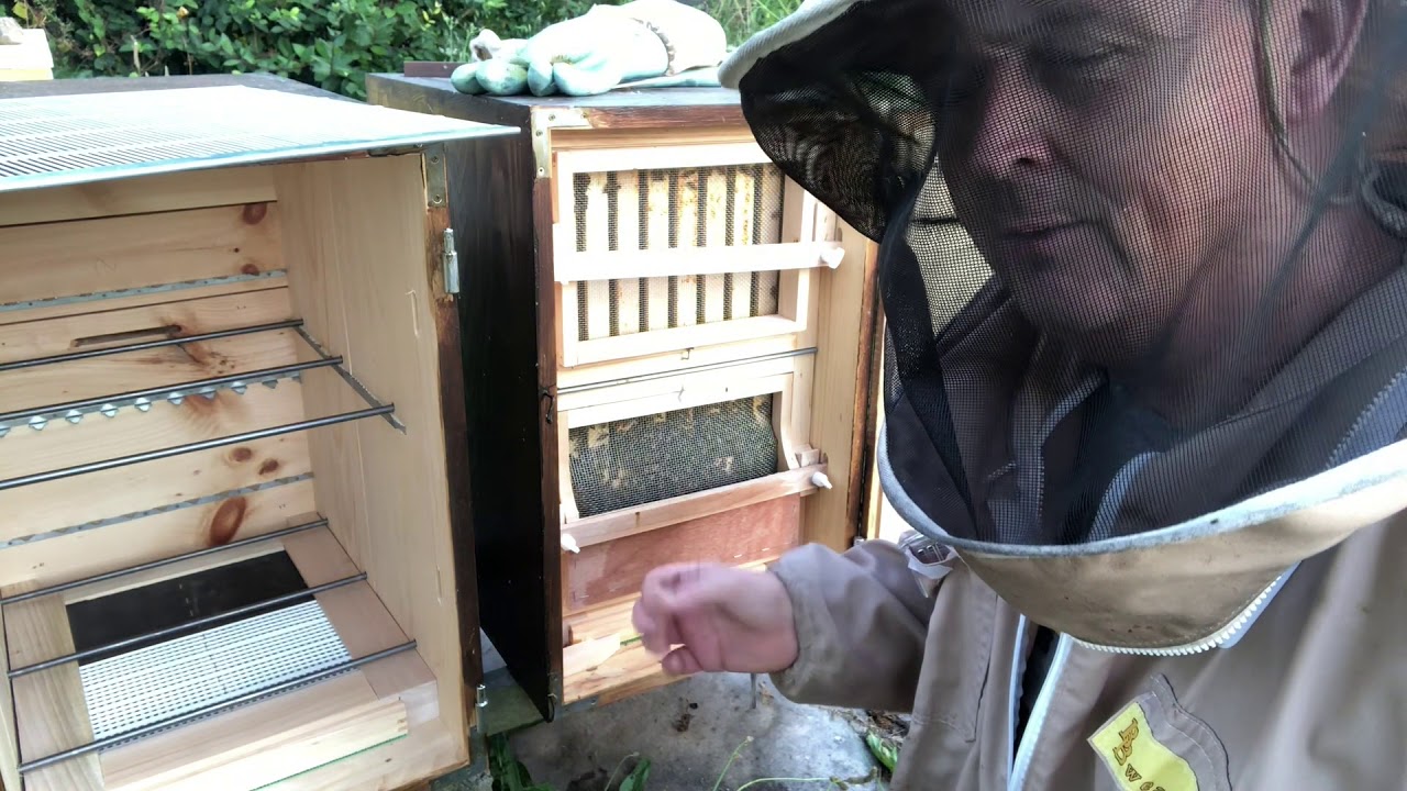 Splitting my AZ Hive.