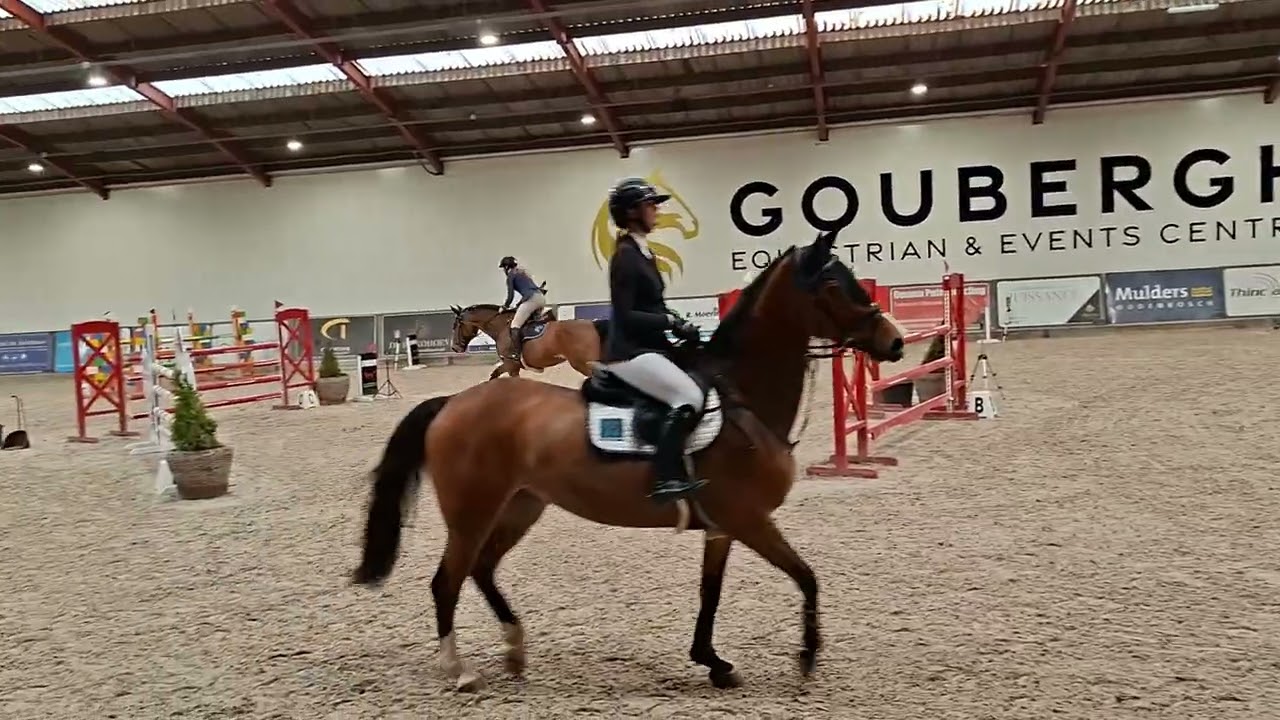 Maaike Theunis met Olynthos (Kordon VDL x Van Gogh x Notaris) 1.25m Den Goubergh 28-02-26.