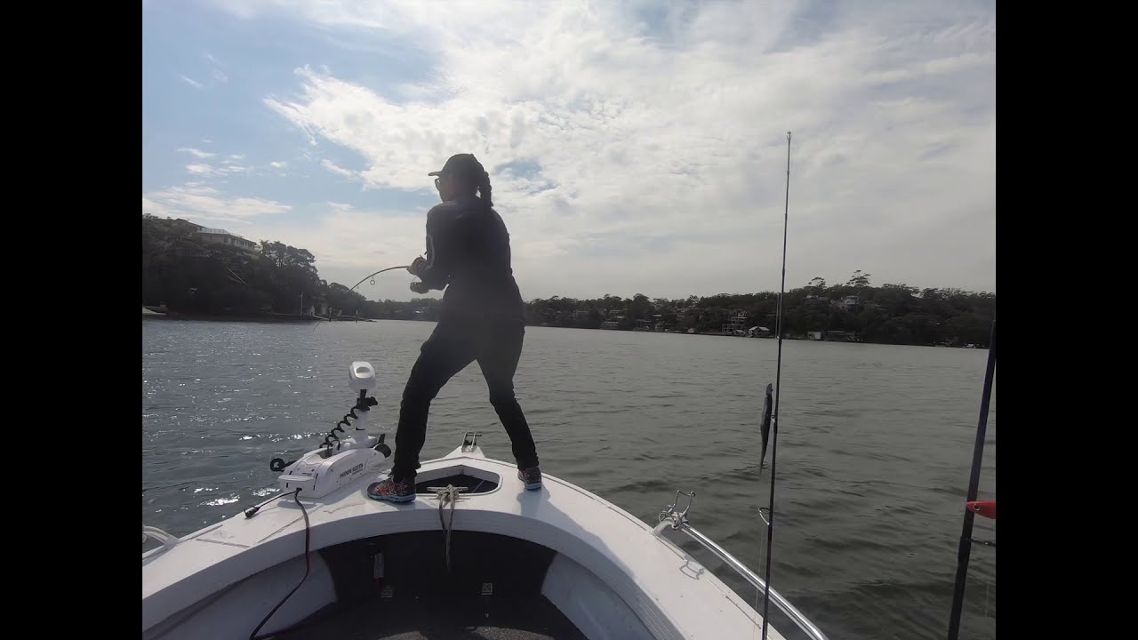 George’s River Sydney Kingfish - SPIKES Fishing