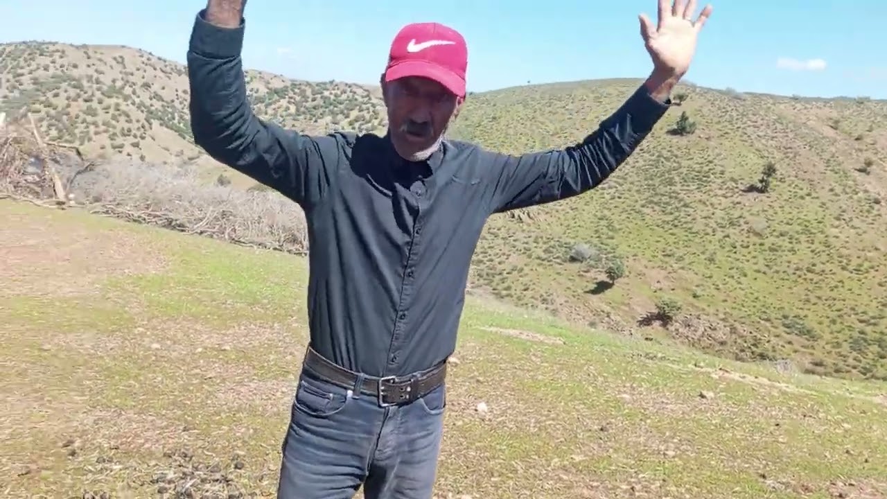 سرقة الاطفال: باردين الكتاف البرغازا النقيين كتر مالبرغازا ديال الماشية.