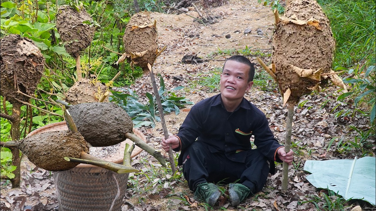 Dwarf Family Daily Life: Harvesting Ant Eggs - Preparing Ant Eggs for Baking