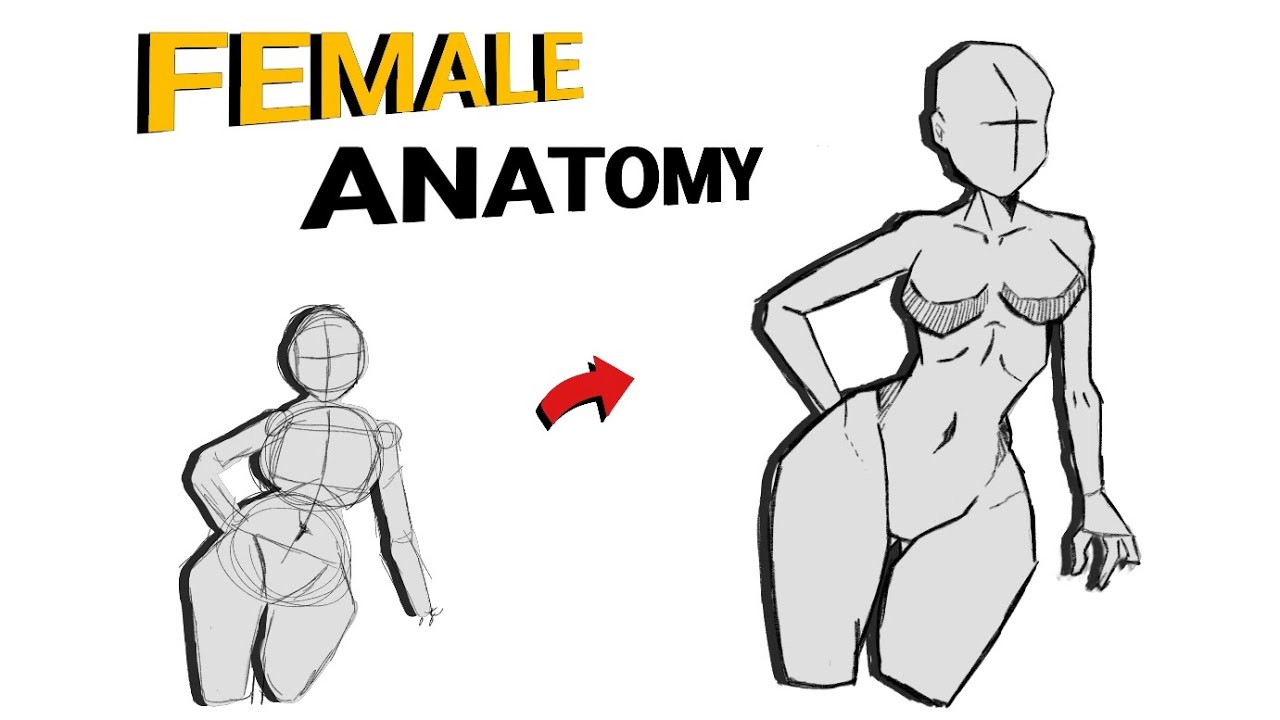 Easy Female Anatomy Drawing For Beginners || Easy To Draw