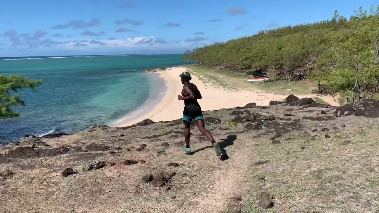 Trail Cardinal Jaune Rodrigues