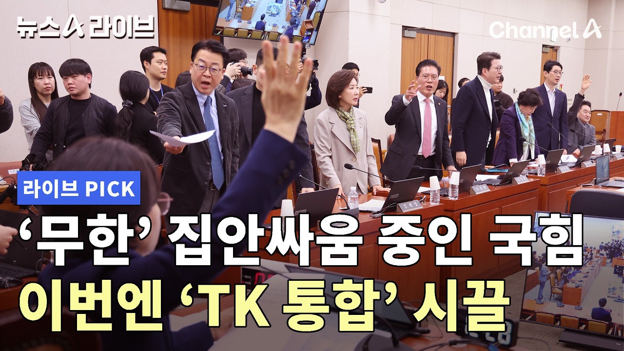 '무한' 집안싸움 중인 국힘 이번엔 'TK 통합' 시끌 #뉴스A라이브 #채널A