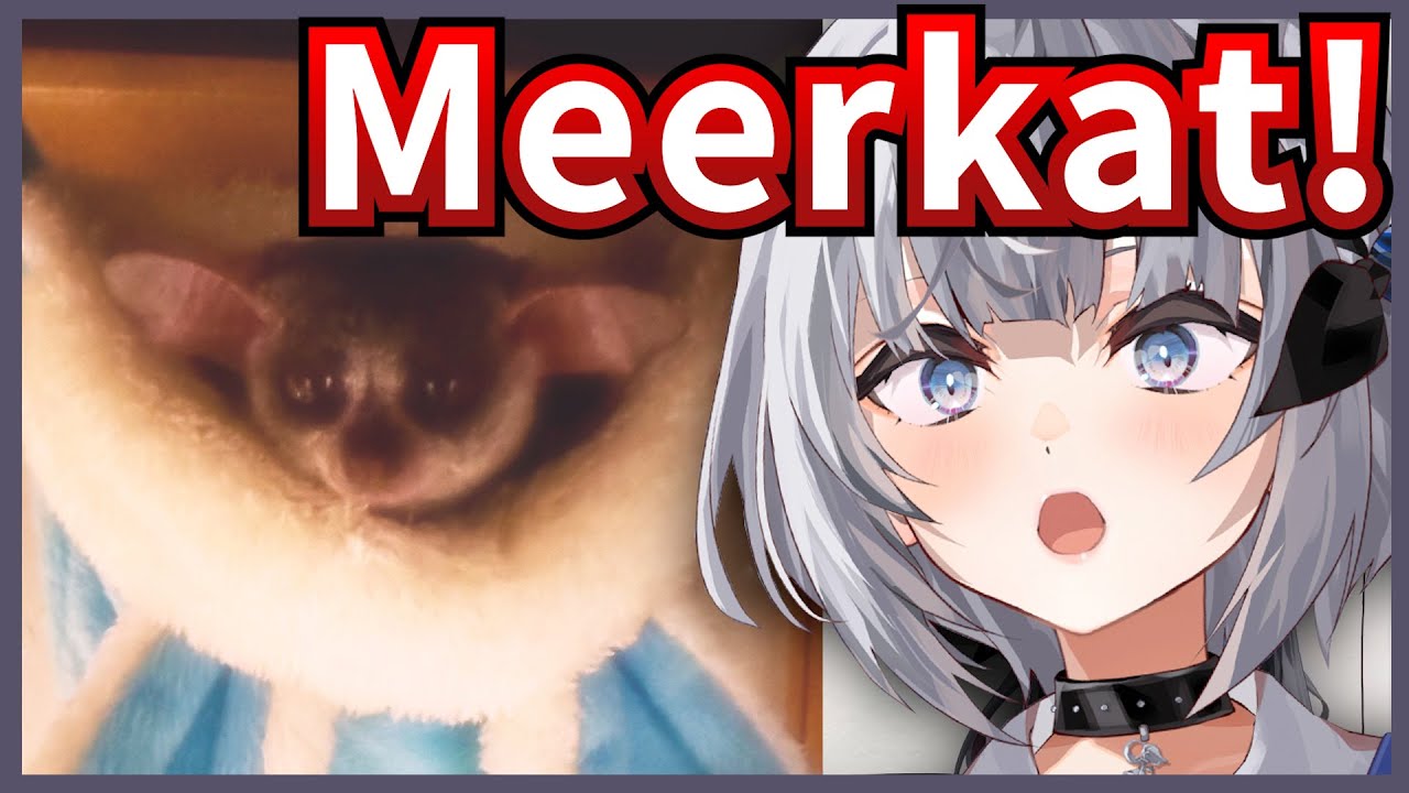 Zeta Had Pekora's FAQING MONKEY All Over Her Twitter Timeline 【Hololive / Eng Sub】