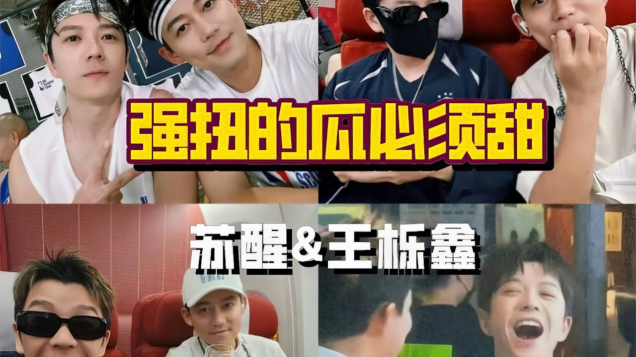 苏醒认证和王栎鑫强扭的瓜必须甜，17年兄弟情怎么吵都不会散