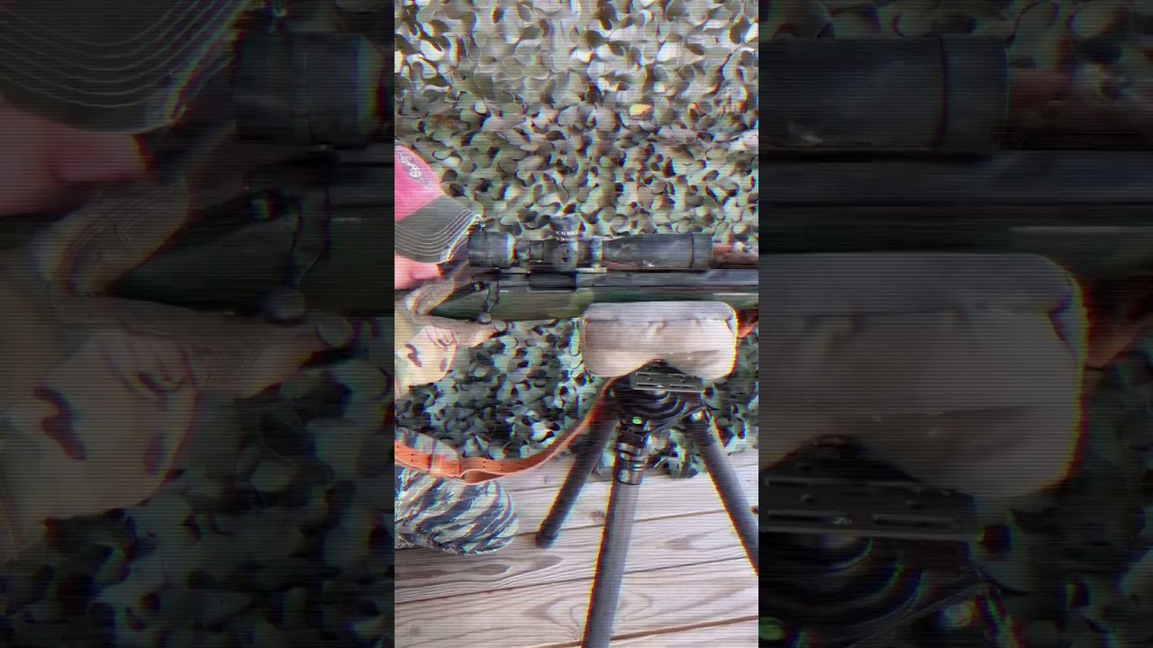 M40A1 Sniper Rifle in Action!