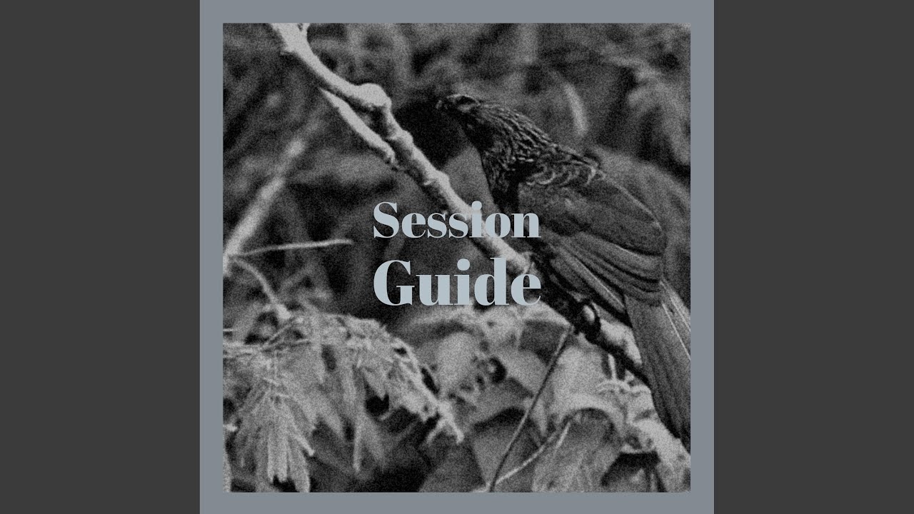 Session Guide