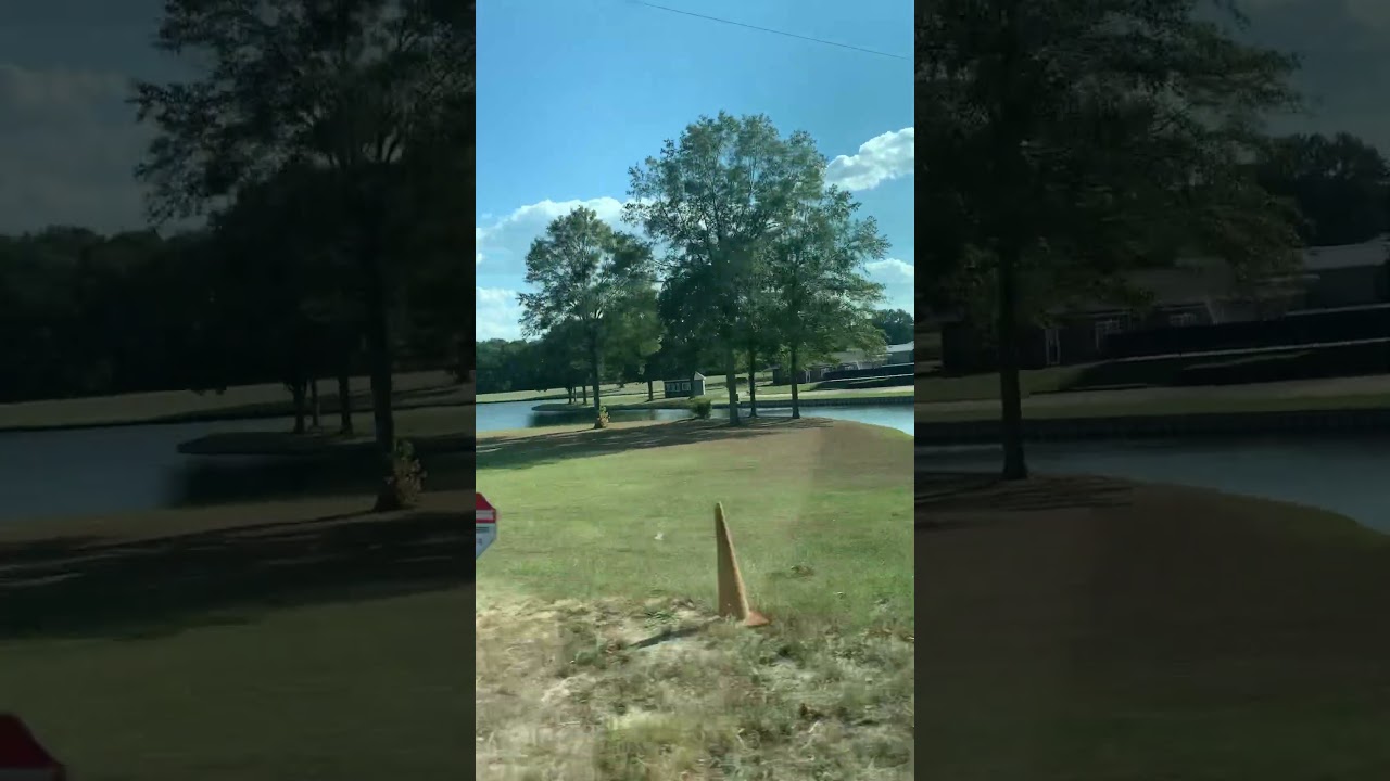 Southern Drives, a Southern Strolls Collection Series 