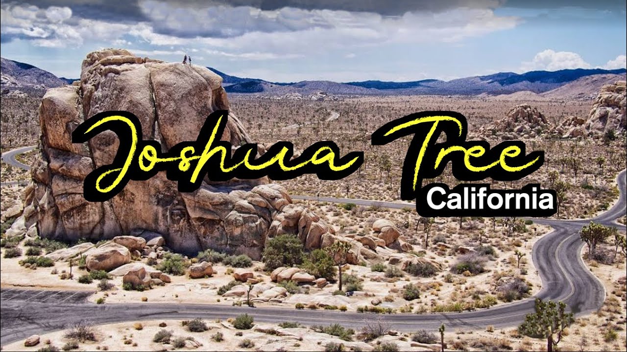 [4K] Joshua Tree National Park Driving Tour  🇺🇸 Twentynine Palms, California Travel