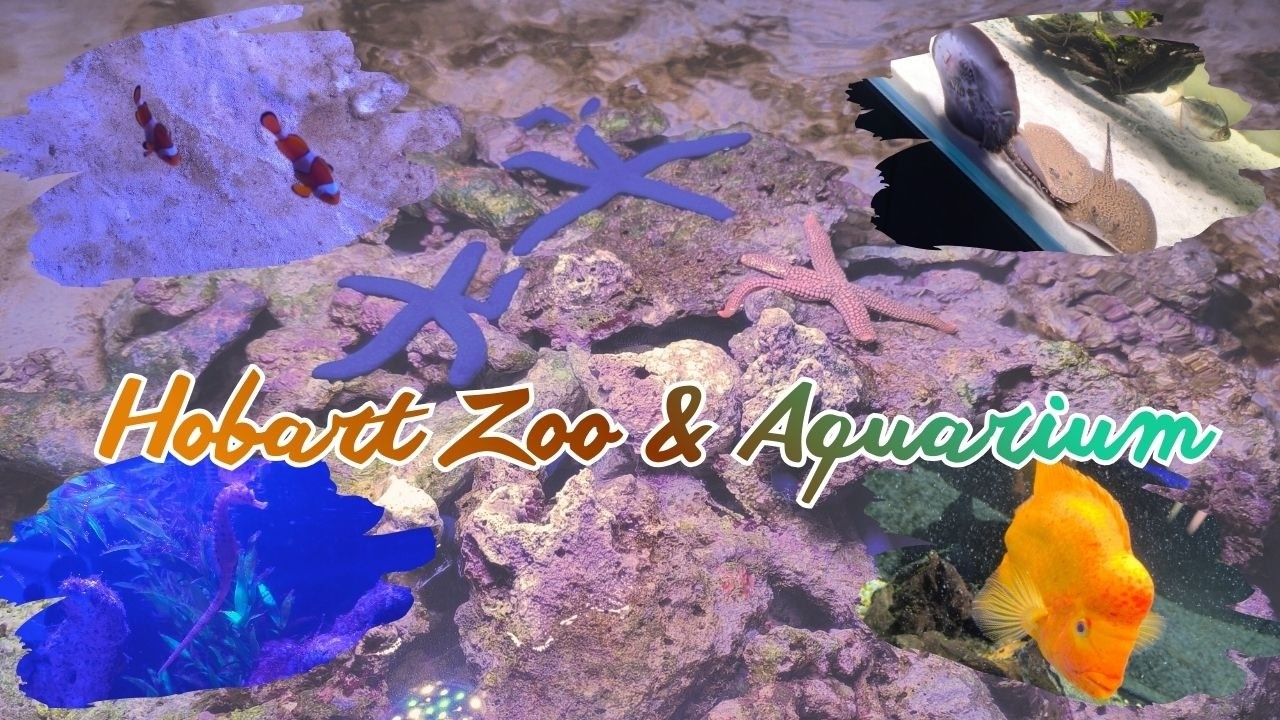 Exploring Hobart Zoo & Aquarium 🐟🐠 | Tasmania | Family Day Out Vlog | KOUSHIK AND ALEKHYA 😍🧿 |
