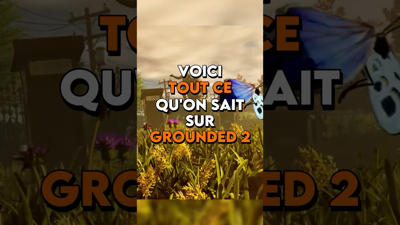 Tout savoir sur Grounded 2