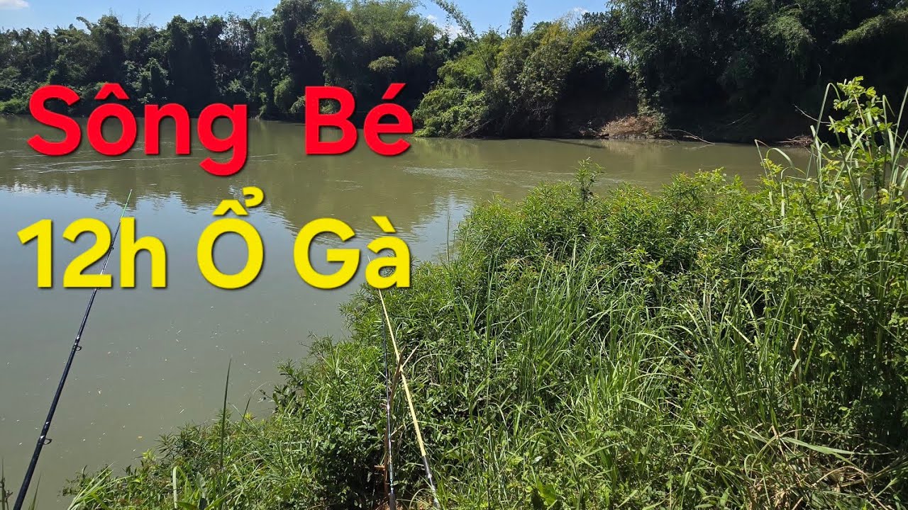 Câu  cá sông  Bé mùa  khô  vịnh  to đẹp  nhất .