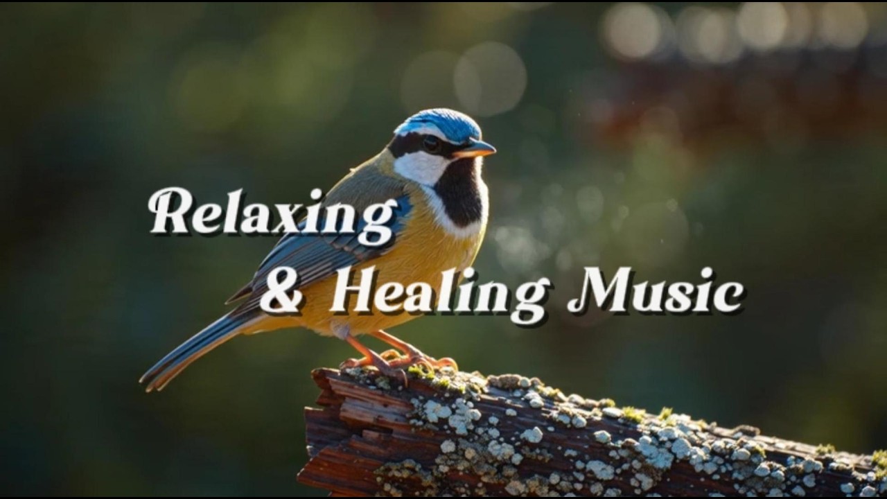 Relaxing Music for Sleep & Focus | Calm Your Mind, Study with Birds
