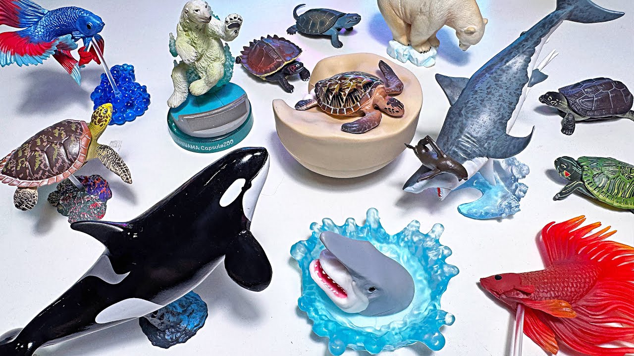 GORGEOUS Sea Animals Toys - Orca, Goblin Shark, Whaleshark, Sea Turtle, Polar Bear, Hammerhead Shark